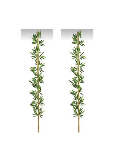 Rüzgar Yapay Çiçekçilik 2 Metre 2 Adet Bambu Yeşil