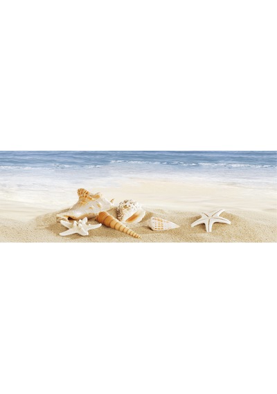 Shell 5'li Dijital Set