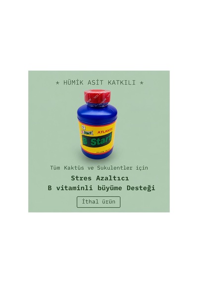 B Start B1-hümik Asit Katkılı Köklendirici Ve Stres Azaltıcı Kaktüs Gübresi 100ml Diğer