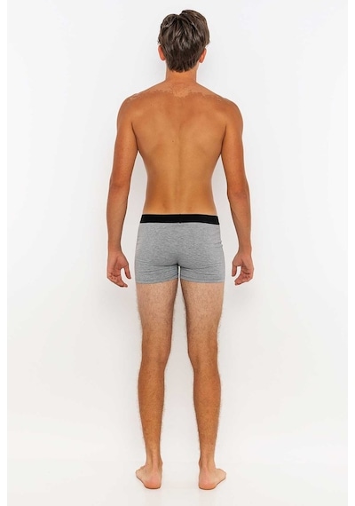Redowl Baykuş Baskılı Gri 2'Li Boxer Gri