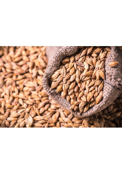 Arpa Doğal 3 Kg Arpa Tane Arpa Kuş Yemi Tavuk Hayvan Yemi  Arpa