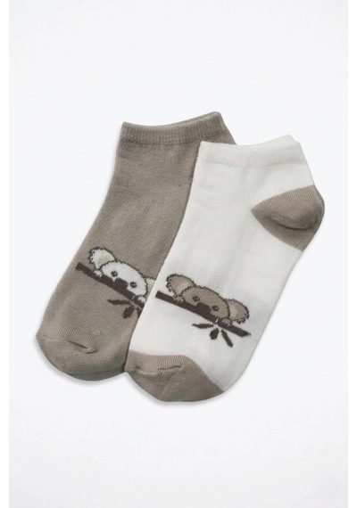 Cocole Socks Erkek Çocuk Patik Çorabı 2 Li Set Krem & Bej Koala Desenli Çok Renkli