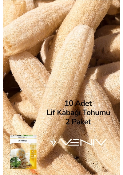 10 Adet Kabak Lifi Tohumu 2 Paket