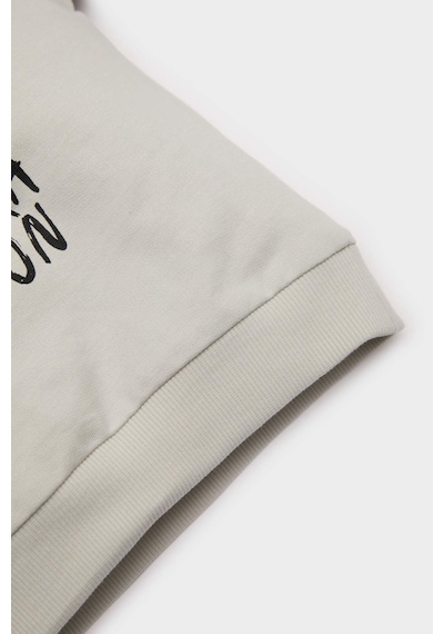 DeFacto Erkek Bebek Bisiklet Yaka Baskılı Sweatshirt E5936A525SPGR107 Gri