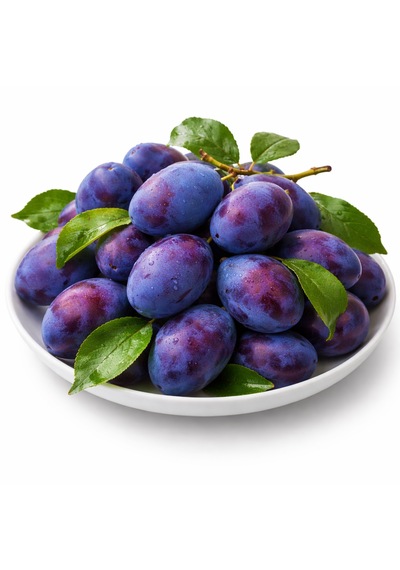 Mürdüm Eriği Fidanı " Prunus Domestica L. " 2 Yaşında Tüplü