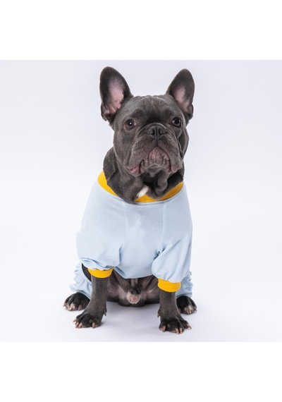 Pettrend Daffy Duck Kedi Köpek Kıyafeti Penye Tulum