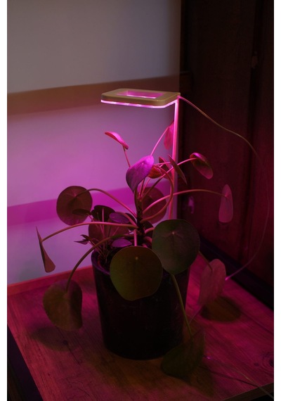 Bitki Led Lamba 5v Usb Tam Spektrumlu Bitki Yetiştirme Lambası 8w Pembe