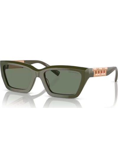 Tıffany&co. Tf 4213 839882 54 Unisex Güneş Gözlüğü Yeşil