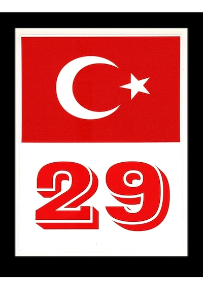 Türkiye Bayraklı Gümüşhane 29 Plaka Kodu Ön Cam Sticker
