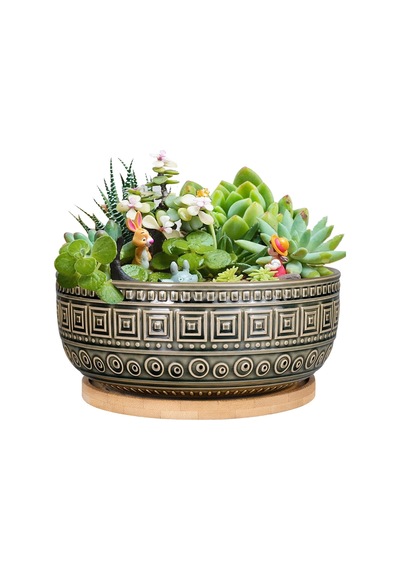 Tr İç Mekan Bitkileri İçin 20,5 Cm Seramik Sukulent Saksıları Yuvarlak Sığ Bonsai Saksı Drenaj Ve Bambu Tabağı Genel