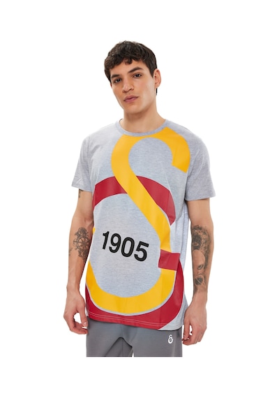 Gsstore Galatasaray Büyük Logolu Tee E88153 Gri Melanj