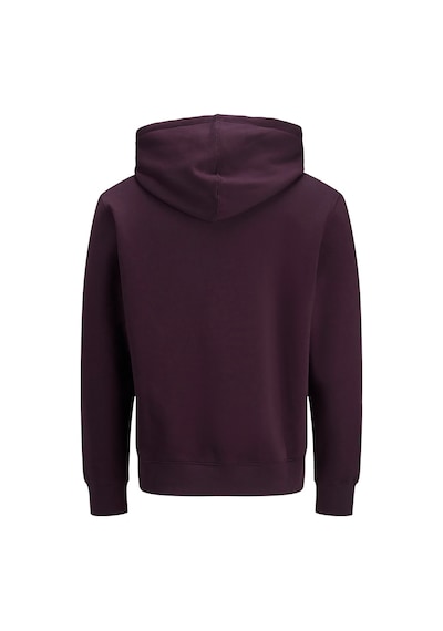 Jack & Jones Star Erkek Sweatshirt 12233972-plp Mor