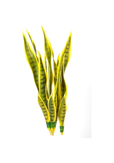Yapay Bitki Paşa Kılıcı Gerçek Dokulu 15 Yaprak Sarı-yeşil 53 Cm.