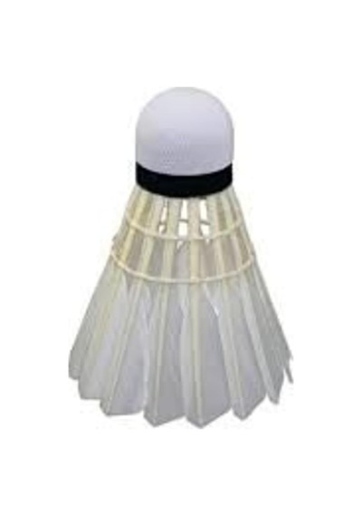 Pro 606 Çantalı Badminton Seti 2 Adet Badminton Raketi 1 Adet Badminton Topu Pro Set Cks-83