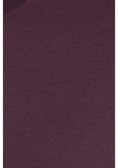 Tudors Unisex Relax Fit Rahat Kesim %100 Pamuk Yumuşak Dokulu Hafif Kalın Eflatun Bisiklet Yaka Tişört-36913 Eflatun