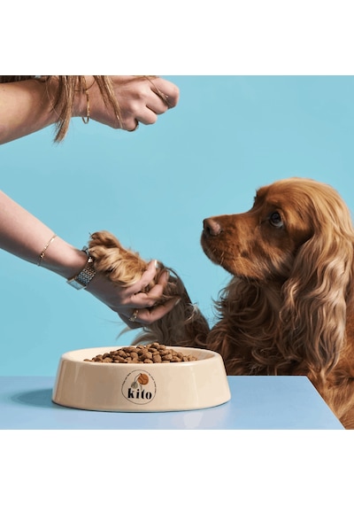 Kito Doğal Besi Kuzu Etli Yavru Köpek Maması 2.5 KG