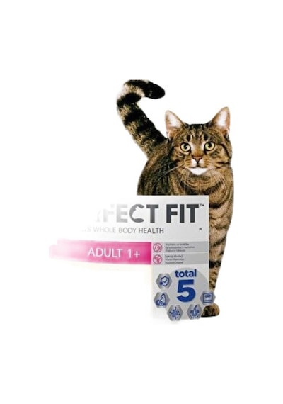 Fit Yetişkin Kedi Tavuklu Kuru Mama 750 Gr