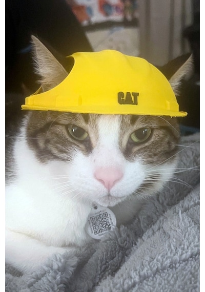 Kedi İnşaat Baretli Kostüm Eğlenceli Kedi Şapkası & Fotoğraf Aksesuarı