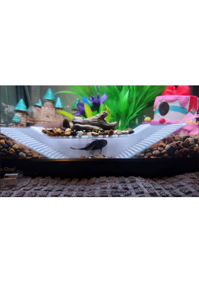 Akvaryum İçin Balık Mağarası Saklanma Ve Üreme Alanı 15x3x3 C