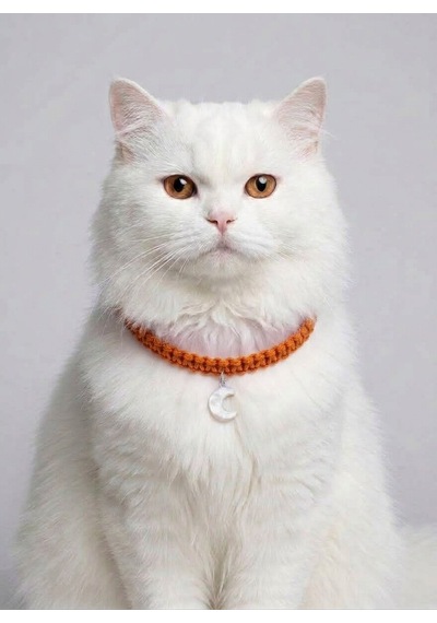 Turuncu El Örgüsü Makrome Kedi Tasması 27 Cm - Ay Figürlü Charm Şık Kedi Boyun Tasması