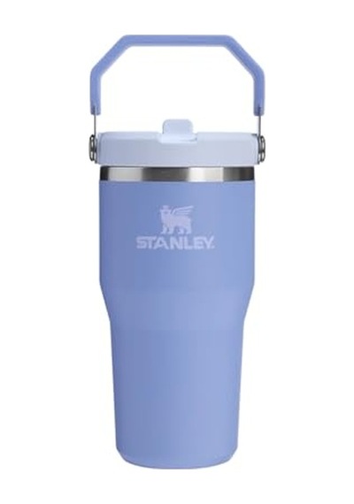 Buz Akışı Go 600ml/20oz Flip Straw Wtr Btl Ortanca Genel