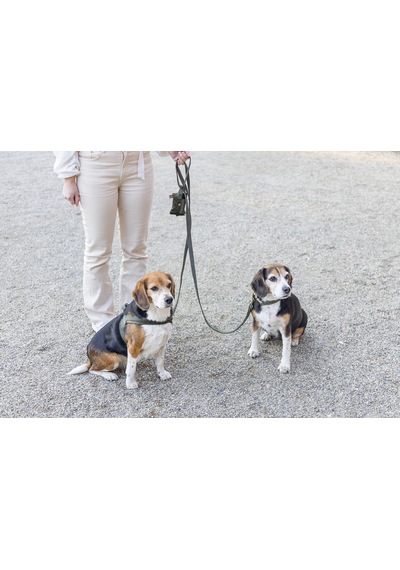 Hnrlıshp Beeztees Dbl Köpek Tasması, Kadife, Nefti, 35-50cm, 20mm Çok Renkli