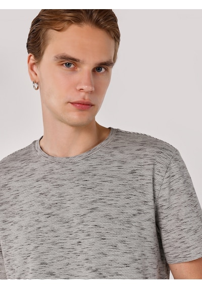 Colin's Colins Regular Fit Bisiklet Yaka Basic Antrasit Erkek Kısa Kol Tişört 001