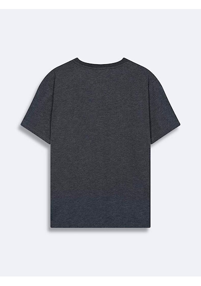 Ltb Jamabe Antrasit Erkek Sıfır Yaka Kısa Kol T-shirt 1225841866089218 Gri Koyu