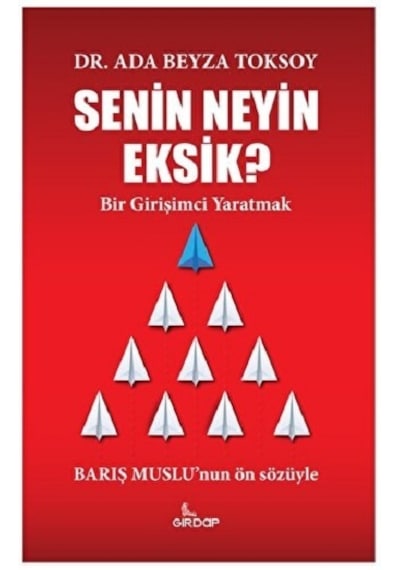 Senin Neyin Eksik? Bir Girişimci Yaratmak - Ada Beyza Toksoy - Girdap