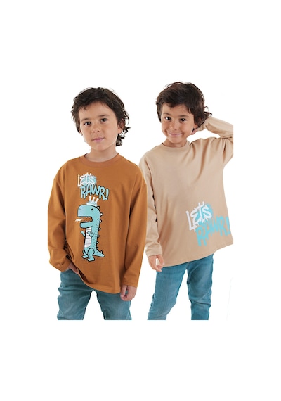 Denokids Let's Rawr Erkek Çocuk 2'li Paket T-shirt Renkli