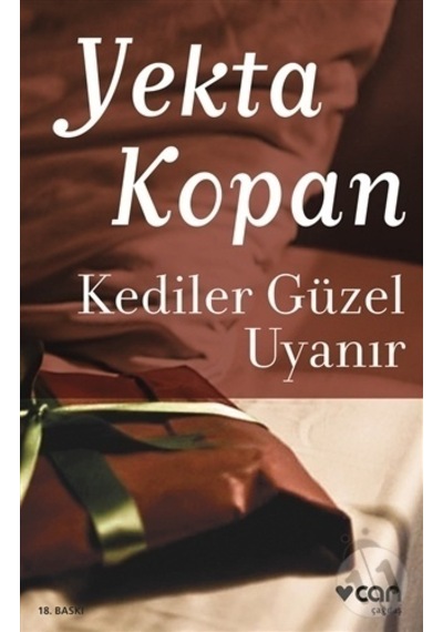 Kediler Güzel Uyanır - Yekta Kopan - Can Yayınları