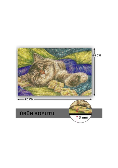 Tasarımlı Dekoratif Kapı Önü Paspas, Dış Mekan/ev İçi/banyo/mutfak/yatak Odası/giriş Paspasları Pastel Boya Çok Renkli