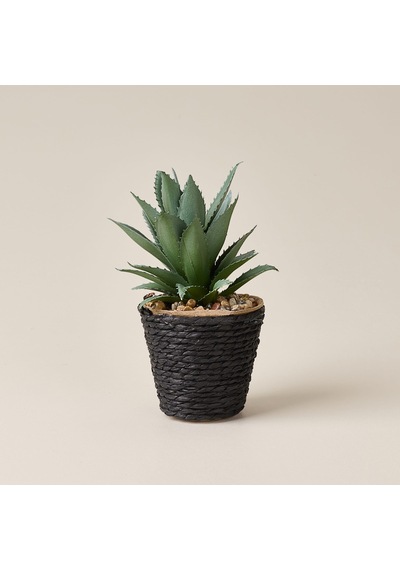 Deco Saksılı Yapay Sukulent - Bej / Yeşil - 15x9 Cm Çok Renkli
