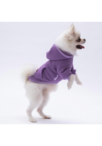 Pettrend Lila Kanguru Cepli Kedi Köpek Hoodie Sweatshirt