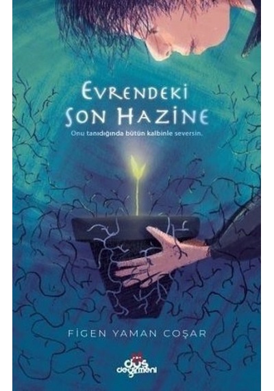 Evrendeki Son Hazine - Figen Yaman Coşar - Düş Değirmeni