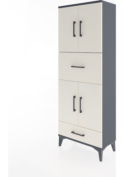 Arges Dolap 4 Raflı 2 Çekmeceli 4 Kapaklı 60x30x163 Antrasit-... Antrasit