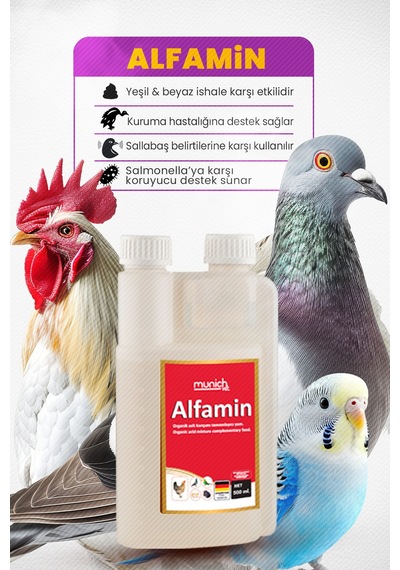 Alfamin Kuşlar Için Ishal Kuruma Sallabas Ürünü 500 Ml