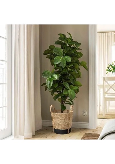 Ikea Tärnmås Rattan Saksı , Bej-siyah, 24 Cm, İç Mekan