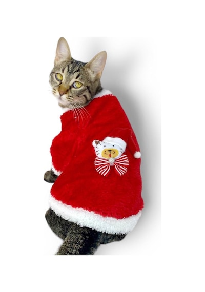 Cat SantaBow Yılbaşı Kedi Sweati