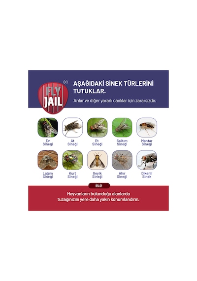 3 Adet Fly Jail - M   KARASİNEK TUZAĞI