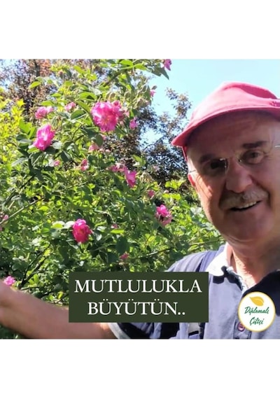 Isparta Gülü Fidanı 15-30 Cm