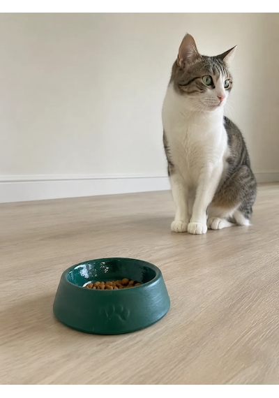 Pati Desen Model Beton Kedi Köpek Mama Ve Su Kabı 13 Cm Çap X 4 Cm - Yeşil
