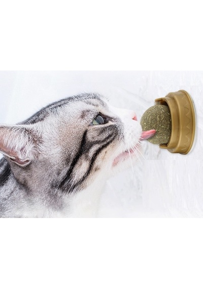 Kedi Otu Oyun Topu 4 Renk
