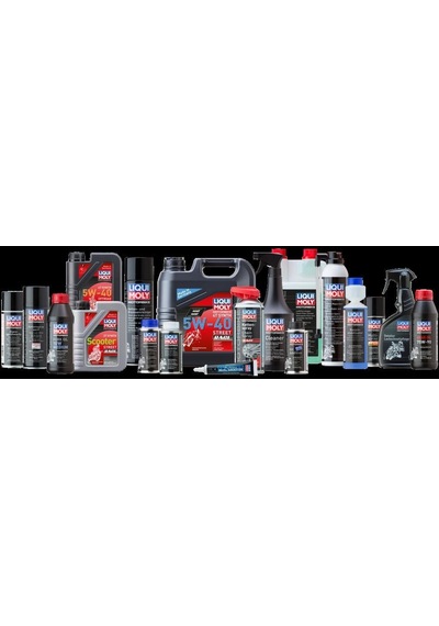 Liqui Moly Helmet Interior Cleaner Kask İçi Temizleme Spreyi 300 Ml