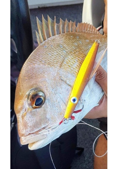 Ocean Angler Knife Jig 60Gr. Bruised Banana