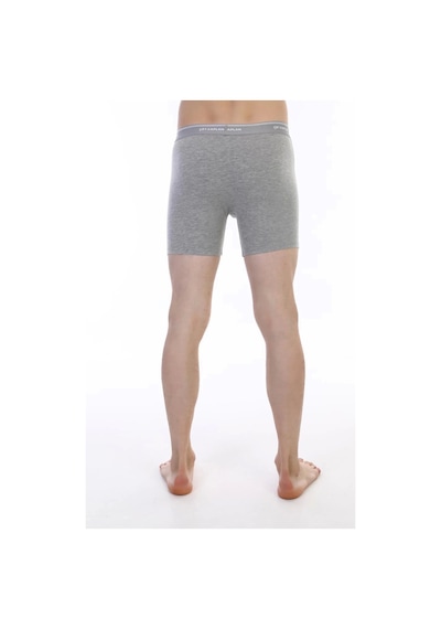 Çift Kaplan 855 Uzun Erkek Boxer Gri