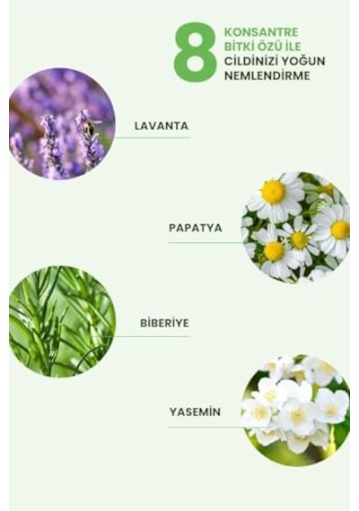Tr Vegan Içerikli Mini Kit
