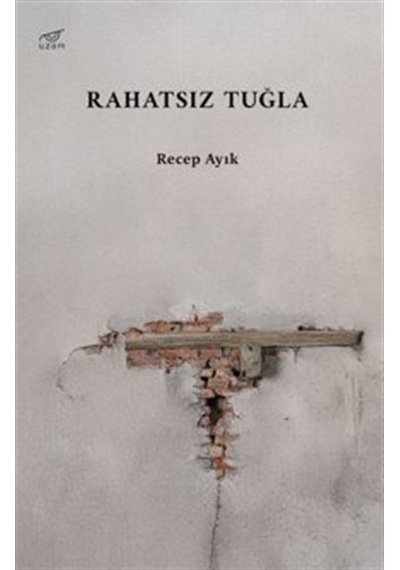 Rahatsız Tuğla / Recep Ayık