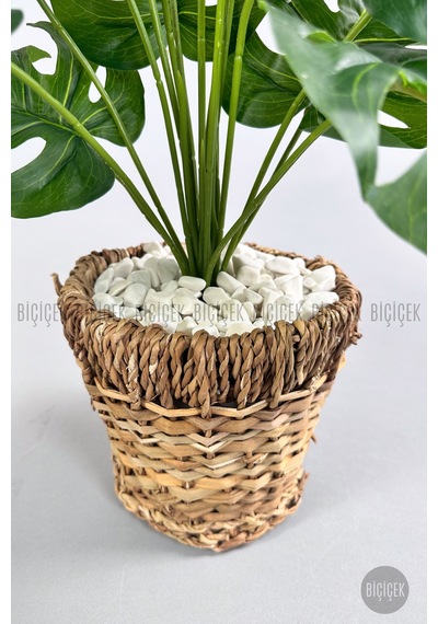 Yapay Monstera Deve Tabani 65 Cm Demi R Destekli Kulpsuz Hasir Saksıda Krem