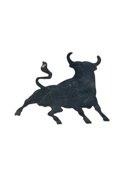 Space Krom Boğa Logo / Yacı40